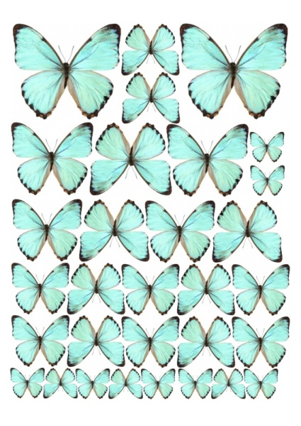 Бабочки №7, картинка на сахарной бумаге