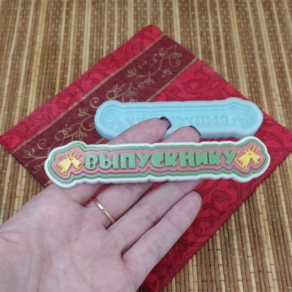 Силиконовый молд "Выпускнику"