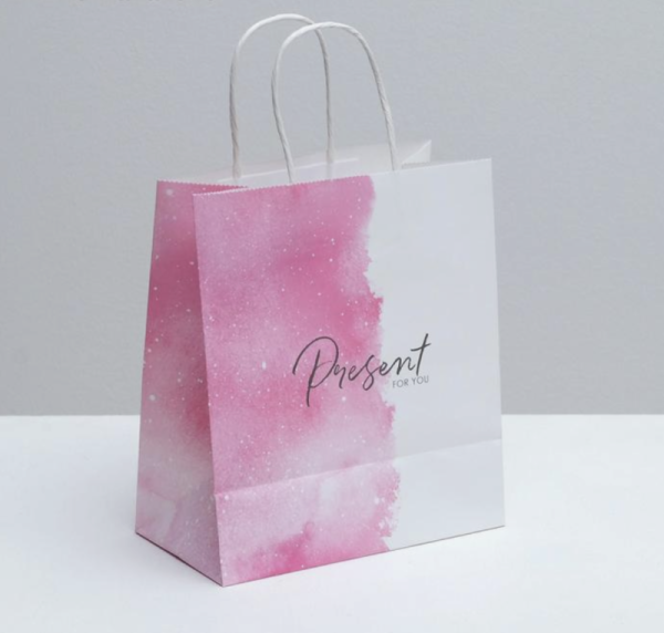Пакет подарочный крафтовый «Present for you», 22 × 25 × 12 см